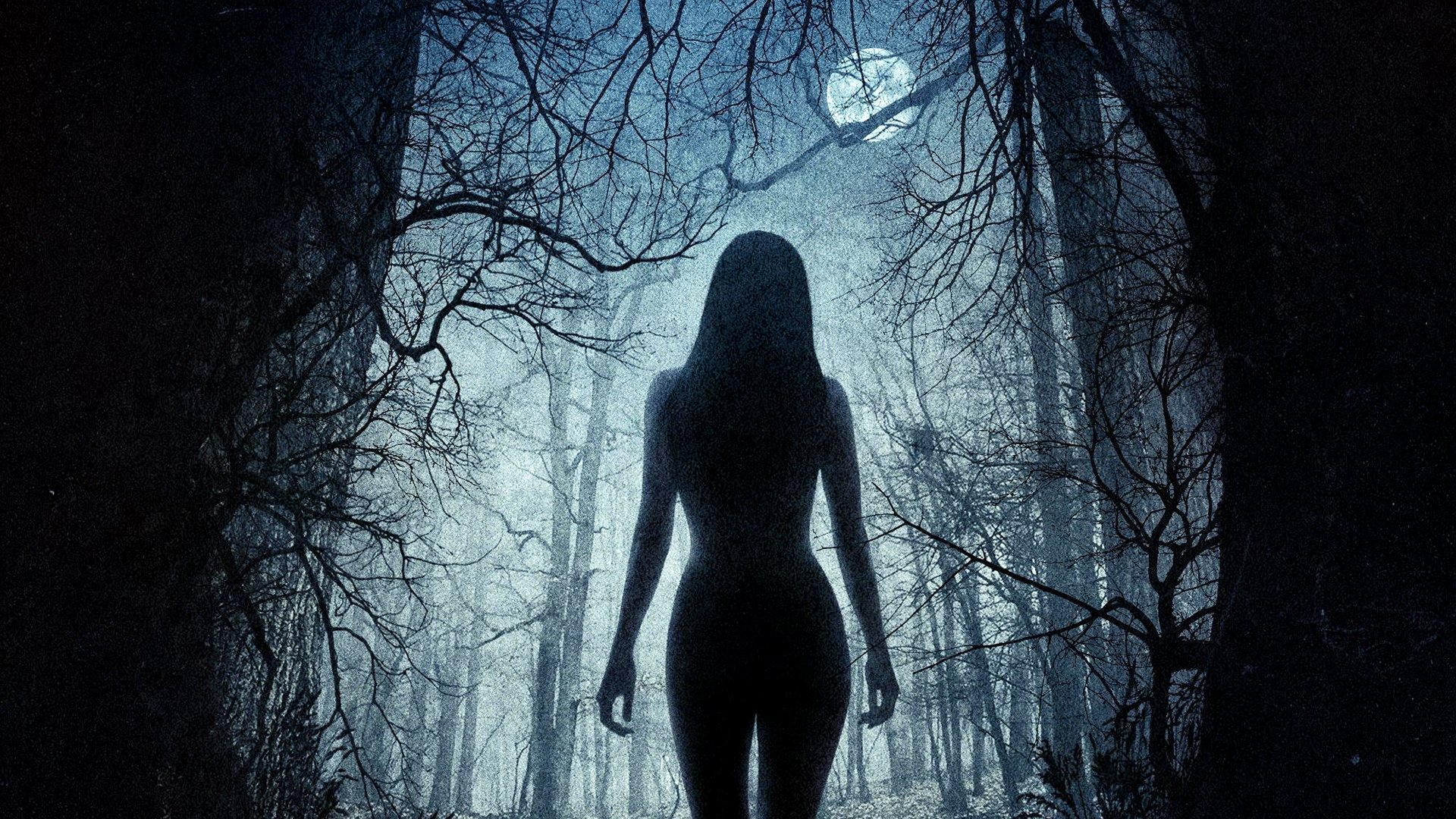 Movie - The Witch (2016) - wallpaper