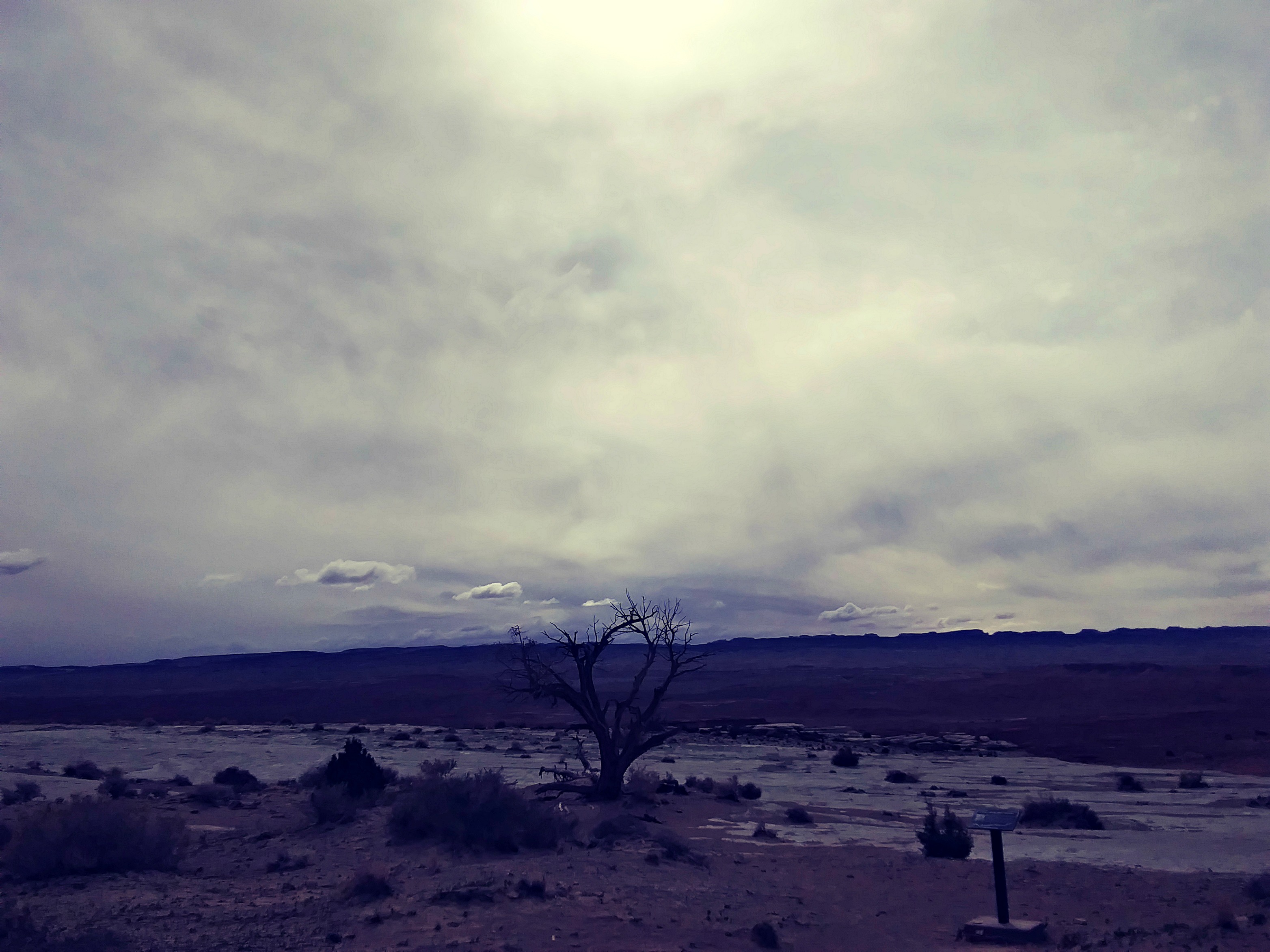 22 - Utah Rest Area (2019 04 10)_(101109)