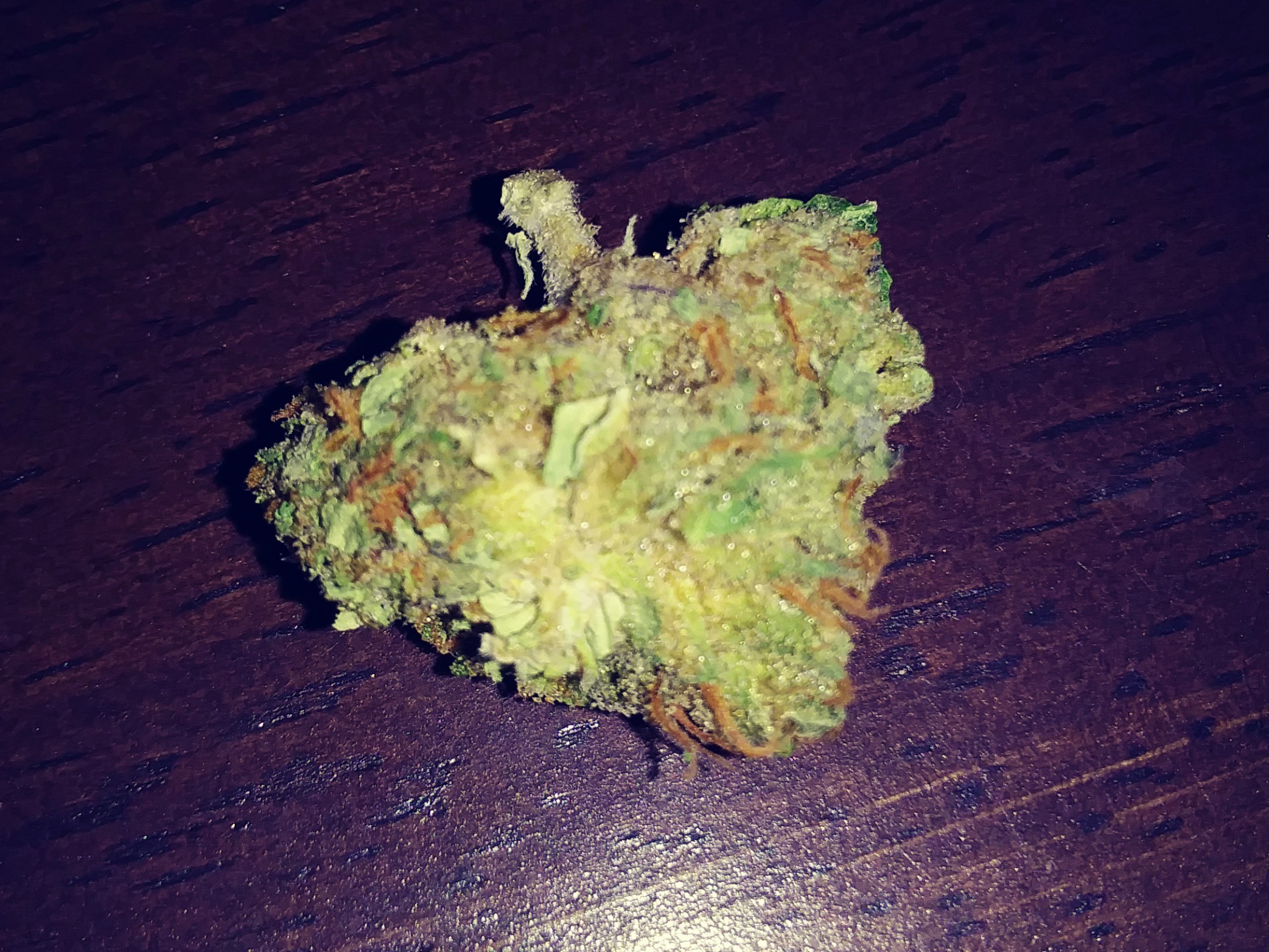 Las Vegas - ReLeaf - Bud (close up) (2019 04 25)_(122254)